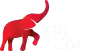 Big Media